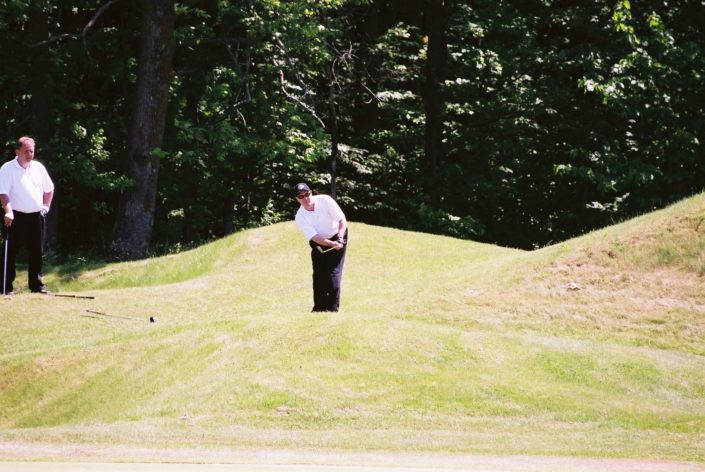 2006 CANADA CHIPPING