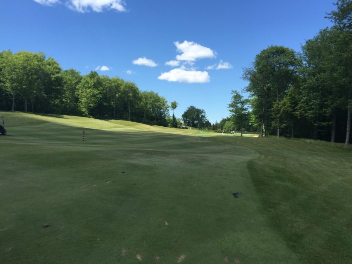 20160624_172917089_iOS