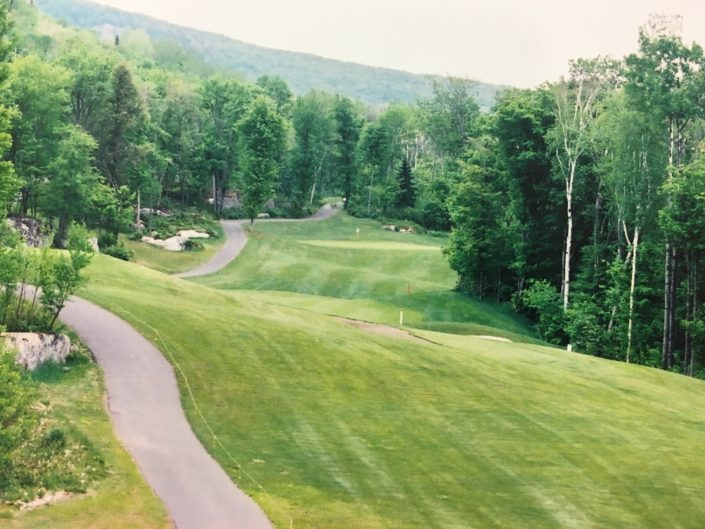 20170613_145032844_iOS